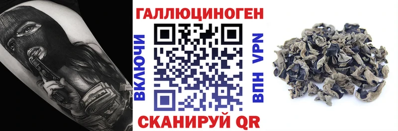 hydra ТОР  даркнет Telegram  Псилоцибиновые грибы MAGIC MUSHROOMS  купить наркоту  Урюпинск 
